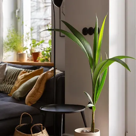 Evergreen - Design & Spacious Old Town With Ac, 1,5 Bath, Family-friendly Apartament