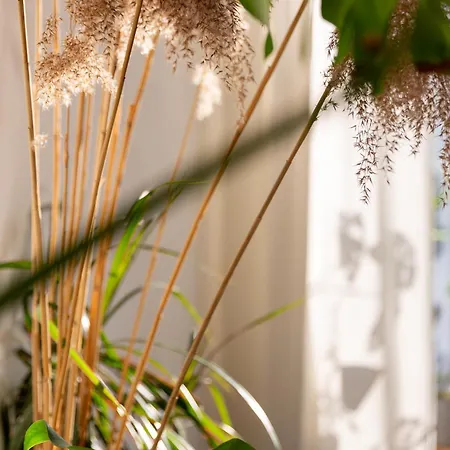 Evergreen - Design & Spacious Old Town With Ac, 1,5 Bath, Family-friendly *