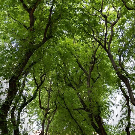 Evergreen - Design & Spacious Old Town With Ac, 1,5 Bath, Family-friendly Apartament