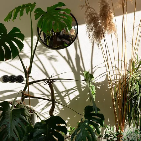 Apartmán Evergreen - Design & Spacious Old Town With Ac, 1,5 Bath, Family-friendly Bratislava