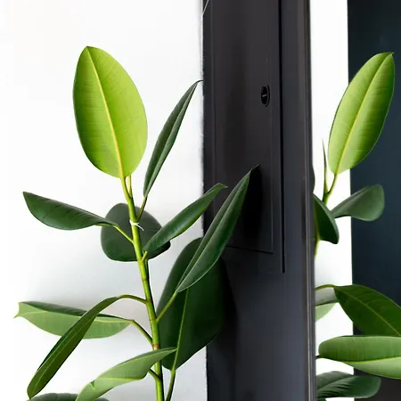 Apartmán Evergreen - Design & Spacious Old Town With Ac, 1,5 Bath, Family-friendly Bratislava