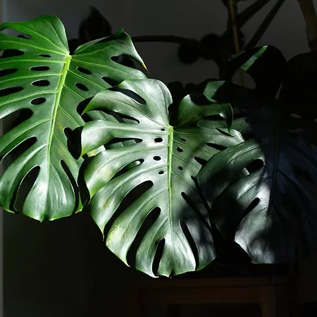 Evergreen - Design & Spacious Old Town With Ac, 1,5 Bath, Family-friendly Apartmán *