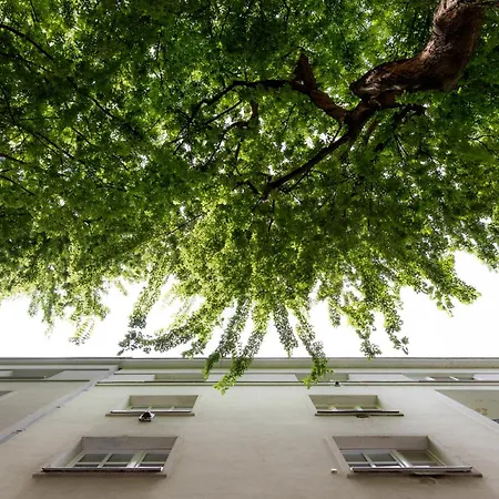 Evergreen - Design & Spacious Old Town With Ac, 1,5 Bath, Family-friendly