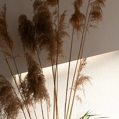 Evergreen - Design & Spacious Old Town With Ac, 1,5 Bath, Family-friendly アパート ブラチスラヴァ