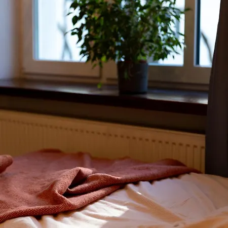 Evergreen - Design & Spacious Old Town With Ac, 1,5 Bath, Family-friendly * ブラチスラヴァ